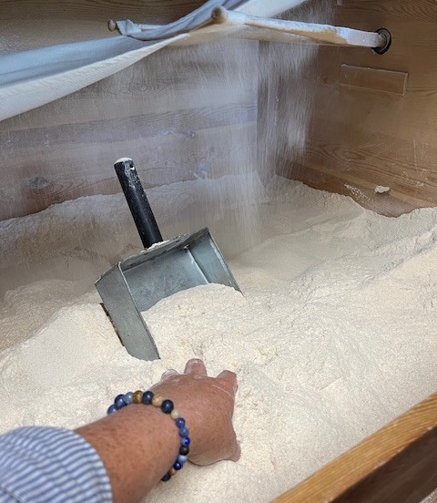 Céréales et farine locales