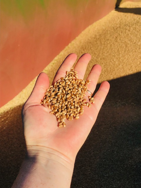 Moulin tyrolien à meules de pierre