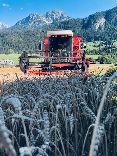 Équipe du Moulin des Moulins